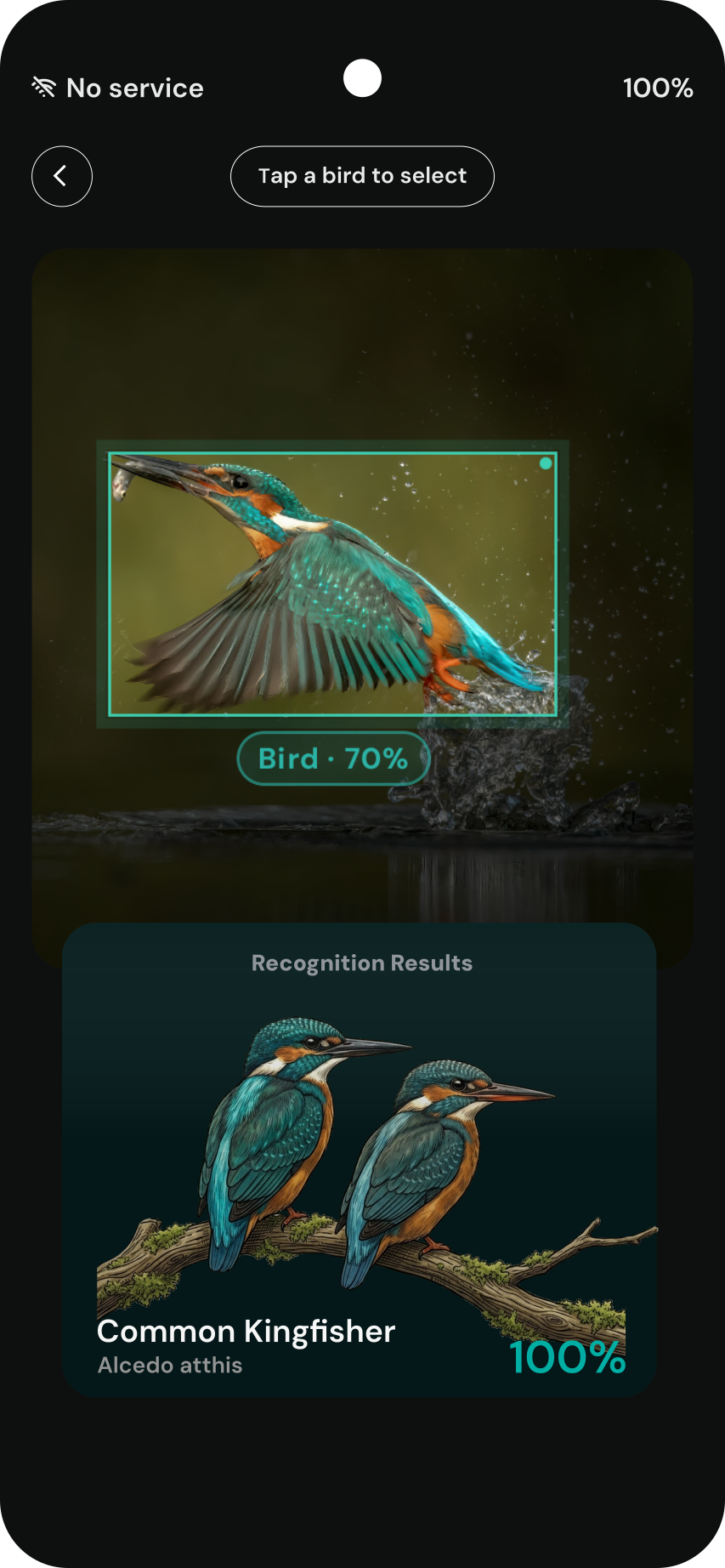 Aves ID